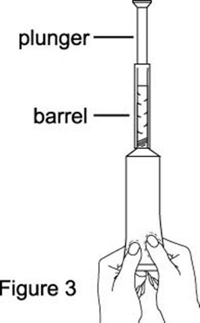 Image Of Figure 3 (Figure 3)